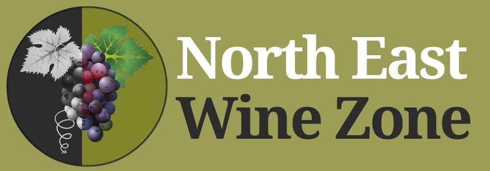 NEWZ Logo
